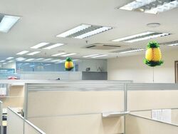 Vertex (D14), Factory #502730651